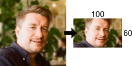 Resizing the input image to 100x60 pixels