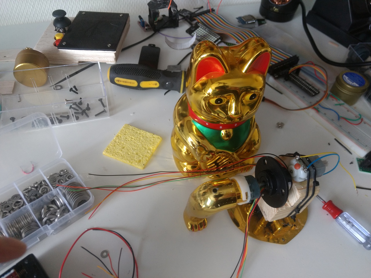 Cat has out of body experience.