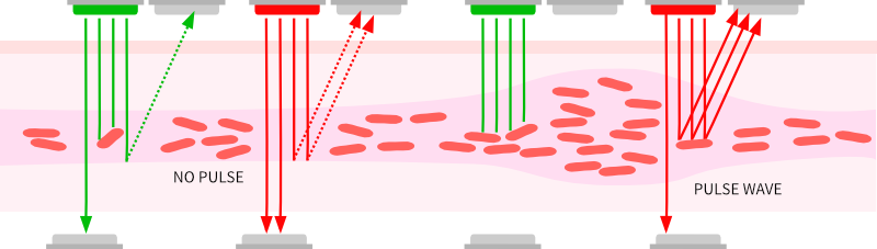 Red and green light interactions with blood.
