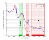 Red and green light absorbance by blood.